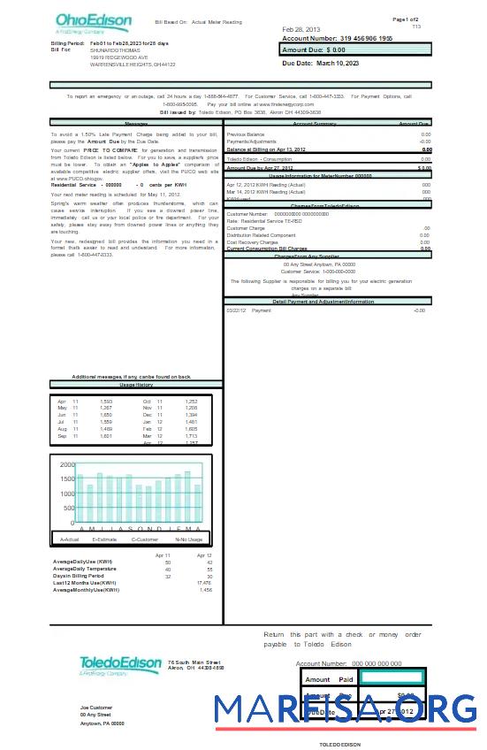 Blank USA OHIO EDISON utility bill Word and PDF template
